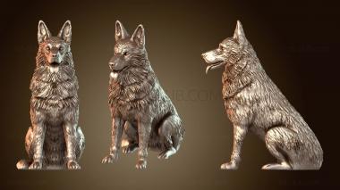 3D model Pastor Aleman (STL)