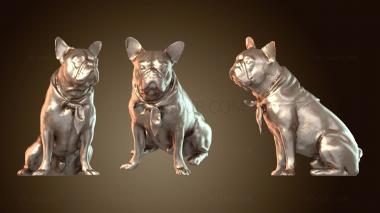 3D модель Французский бульдог (STL)