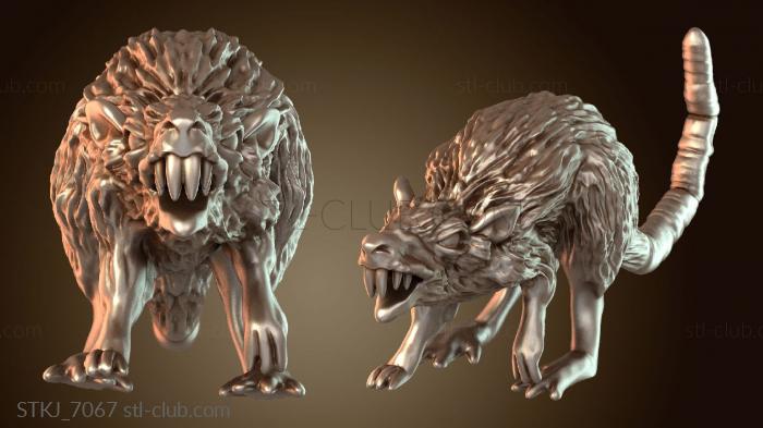 Кусочки чумной крысы