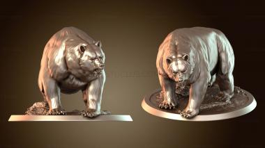 3D мадэль Священник Медведь Дикий (STL)