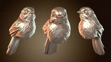 3D модель Первобытный Линус Птица Крик (STL)