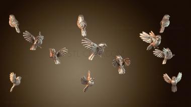 3D мадэль Первобытная стая птиц Линуса (STL)