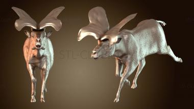 3D model Prolibytheriumpose Omega (STL)