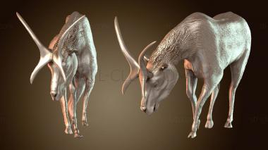 3D модель Prolibytheriumpose Prime (STL)