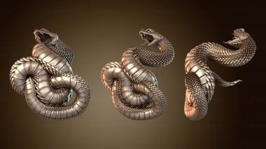 3D мадэль Гремучая змея (STL)