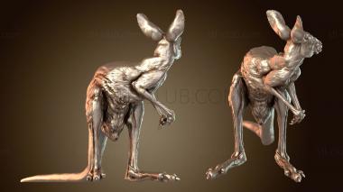 3D model Red Kangaroo Male Resting (STL)