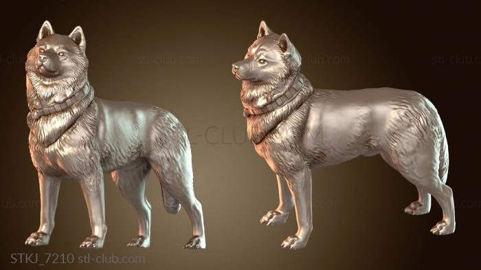 Статуэтки животных Репортер Билл и Хаски