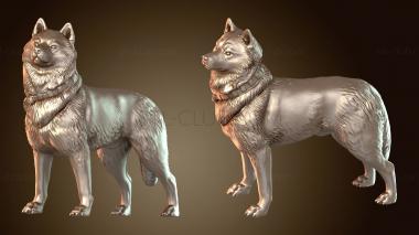 3D модель Репортер Билл и Хаски (STL)