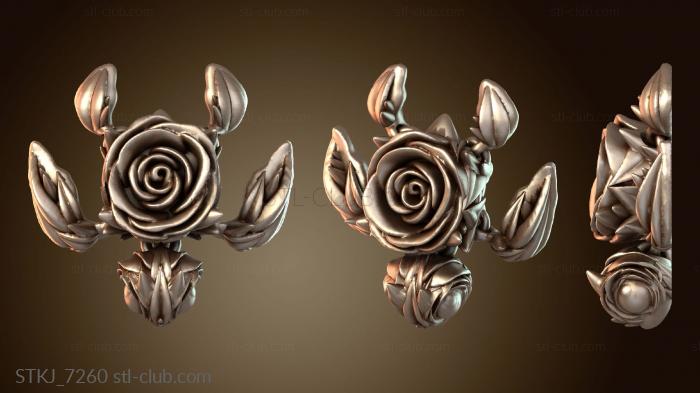 Розовая змеехвостка-пепелюшка