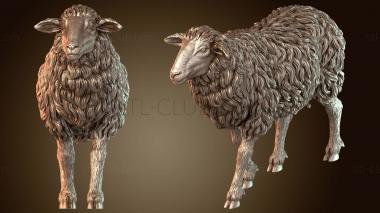 3D модель Овечье спокойствие (STL)