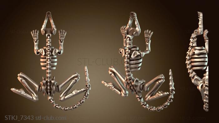 Статуэтки животных Скелет Крысы Изогнутый