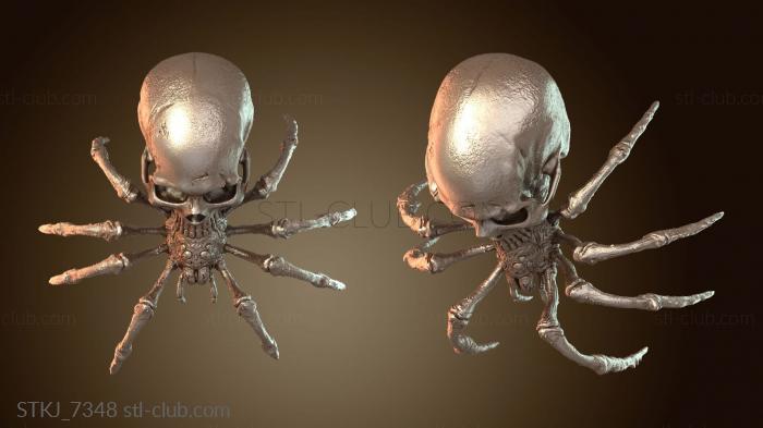 Статуэтки животных Череп Паука