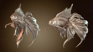 3D мадэль Рыба-скайуокер с веревкой (STL)