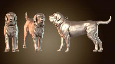 3D модель Испанский мастиф (STL)