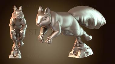 3D модель Белка Спрю Свирепая (STL)