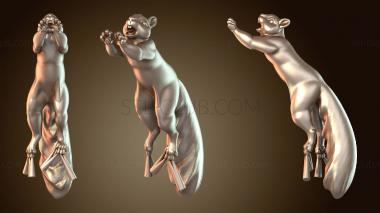 3D модель Молодая белка-спрю (STL)