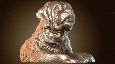 3D модель Сенбернар (STL)