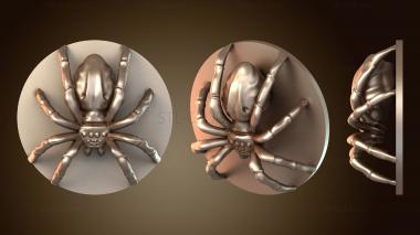 3D model Steeder Female (STL)