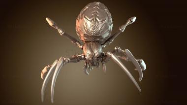 3D model Tamed Australian Spiderling Bold (STL)