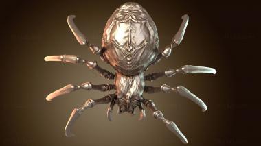 3D model Tamed Australian Spiderling Quick (STL)