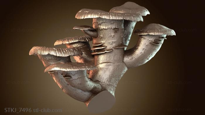 Terrain Mushroom Giant