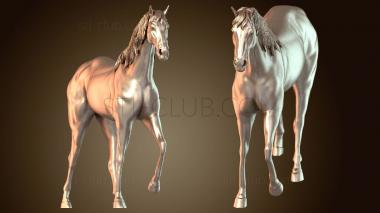 3D модель Чистокровная верховая лошадь (STL)