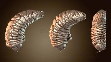 3D мадэль Личинки нейтрального уровня (STL)