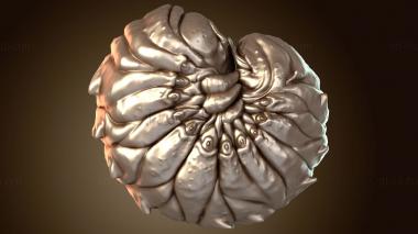 3D мадэль Нейтральные личинки яростного уровня (STL)