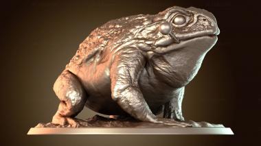 3D модель Трубка семейства жаб (STL)