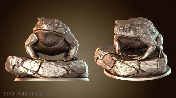 Статуэтки животных Война за седло мастера-жабы
