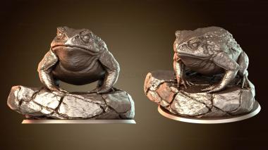 3D model Toad Master Saddle War (STL)