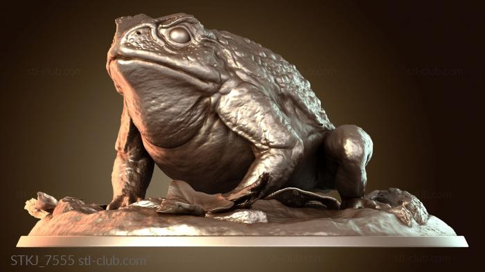 Статуэтки животных Жаба гуляет по дикой природе