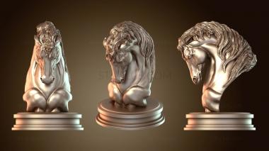 3D модель Фрагмент торса лошади (STL)