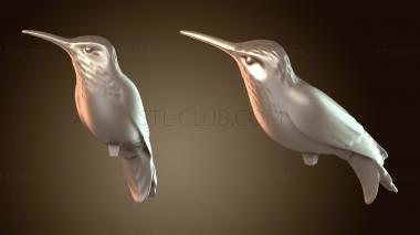 3D мадэль Украшение на День святого Валентина с птицей (STL)