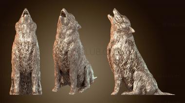 3D модель Вольф Нобл (STL)