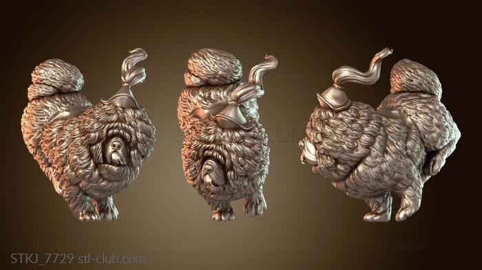 Xiaotian Ao Pangpang