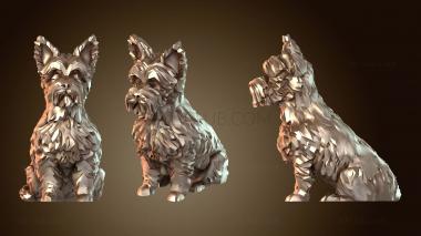 3D model Yorkshire (STL)