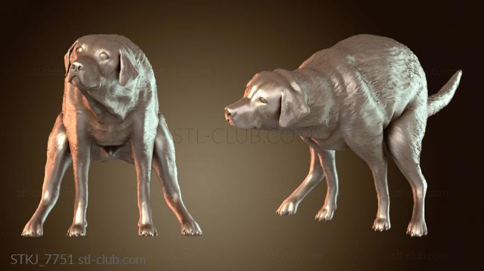 Статуэтки животных STKJ_7751