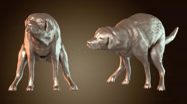 3D мадэль STKJ_7751 (STL)