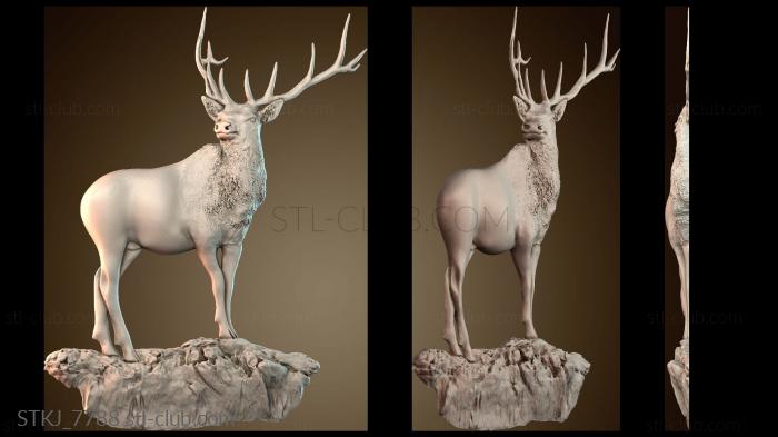 Статуэтки животных STKJ_7788