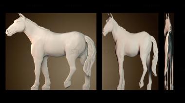 3D модель STKJ_7812 (STL)