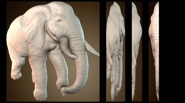 3D модель STKJ_7813 (STL)