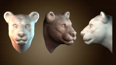 3D мадэль STKJ_7835 (STL)