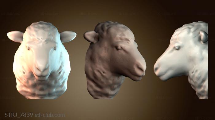 Статуэтки животных STKJ_7839