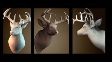 3D model STKJ_7848 (STL)