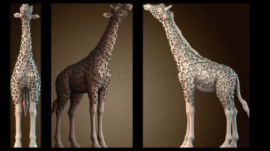 3D model STKJ_7864 (STL)