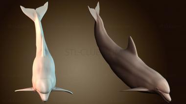 3D model STKJ_7903 (STL)