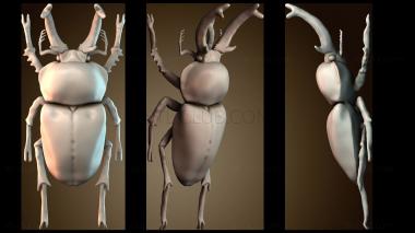 3D модель STKJ_7909 (STL)