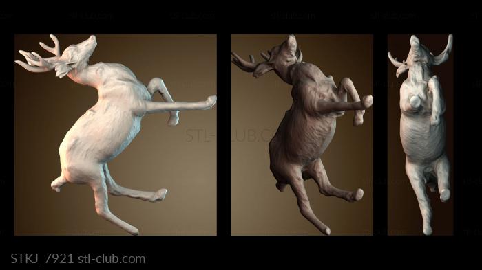 Статуэтки животных STKJ_7921