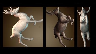 3D модель STKJ_7921 (STL)